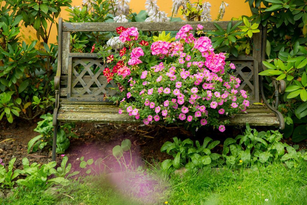 Ferienapartments Schnibbe Bad Lauterberg Esterno foto